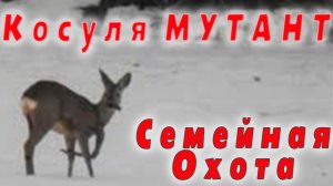 Косуля Мутант. Охота удалась. Три поколения на одной охоте