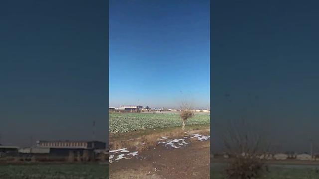 КАПУСТА В РОССИЮ смотреть онлайн