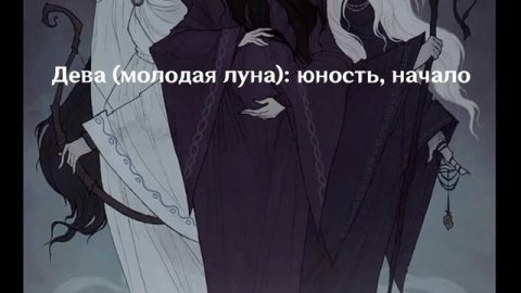 Теории и загадки Геншин Импакт | Паймон, мора, три луны. Кто такая Паймон?