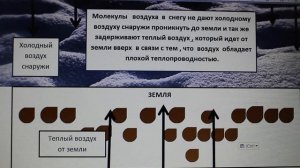 Физика 8 кл(2019г)Пер §4 Упр 3 № 1.Почему глубокий рыхлый снег предохраняет озимые хлеба от вымерзан