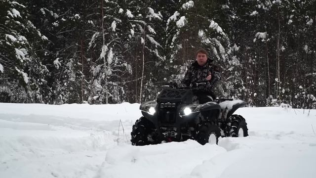 Rigid ADAPT доп свет по цене авто