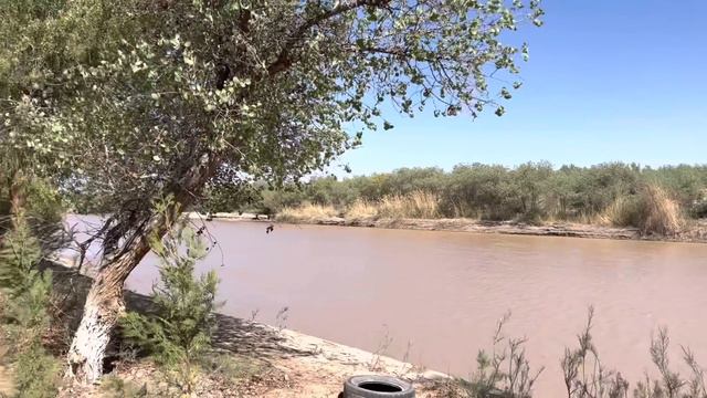 Дам олиш ун зур жой сув буйида #Рыбакихорезма смотреть онлайн