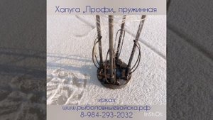 Сазан влетел в хапугу! Как ловят хапугой зимой.