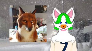 какие бывают виды фурсьютов?|ремейк, описание!