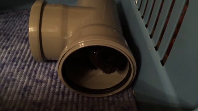 Скинни дом смотреть онлайн