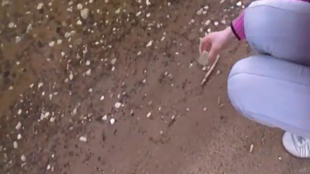 Горьковское море город Заволжье
