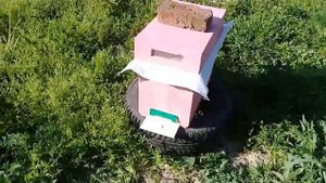 🔴Мой условно изолированный облетник по СР пчеле