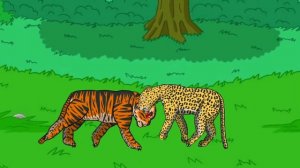 TIGER VS LEOPARD ANIMATION