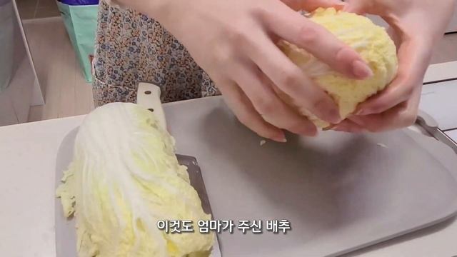 ENG)시현두번째영상|계속되는집밥?|버섯샤브샤브?|마파두부?|그릭요거트만들기?|혼자서도 잘먹는일상?