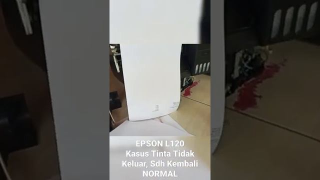 Epson L120