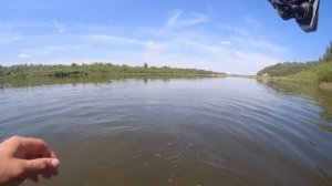 Щука в Суровской протоке на воблер Gad Gosh60F-SR и на воблер Pontoon 21 Bet-A_Shad63SP-SR.