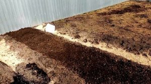 Посадка  РАННЕГО КАРТОФЕЛЯ под АГРОВОЛОКНО в Марте. 12.03.2020г.