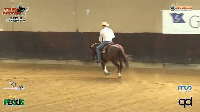 2 tappa TRHA 2019 - MAGNI FABRIZIO & HOLLYWOOD CSI score 70 смотреть онлайн