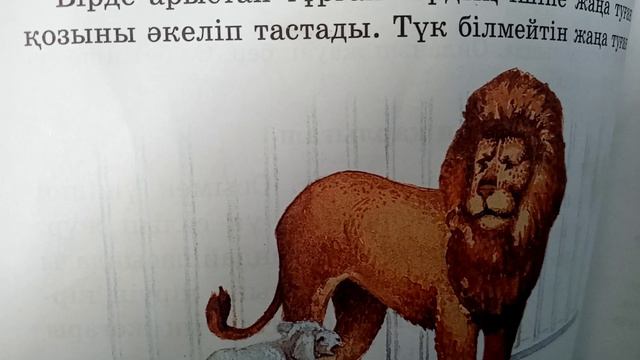Арыстан мен қозы 2 сыныпқа