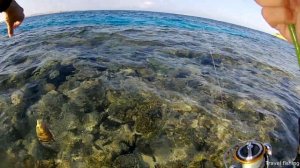 Рыбалка в Хургаде осенью. Лучшие моменты | Fishing in Hurghada in the fall. Best moments