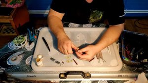 Зимняя прививка плодовых деревьев.