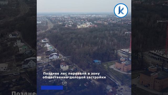 Власти хотят расторгнуть с инвестором договор аренды леса на улице Донского в Калининграде смотреть онлайн