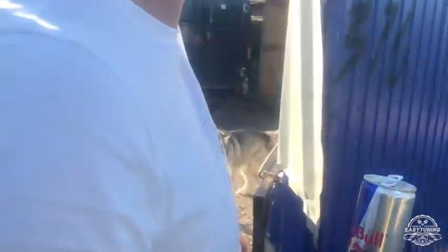 НА РАЗБОРКУ И ЗА НОВЫМ АВТО / ЕКАТЕРИНБУРГ, ТЮМЕНЬ, ЧЕЛЯБИНСК, САРАТОВ