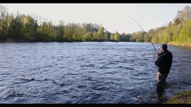 Dream salmon caught fly fishing. смотреть онлайн