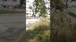 4Часть беймиксов!