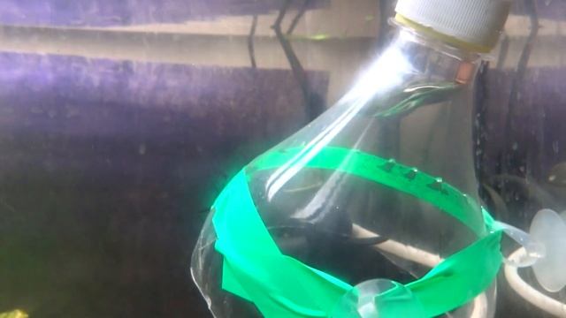 Пробный, самодельный колокол (купол) для CO2 смотреть онлайн