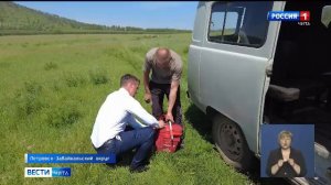 В Петровск-Забайкальском округе уничтожают заросли дикорастущей конопли