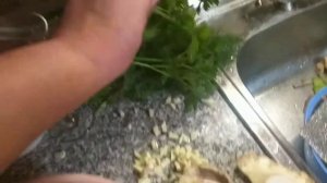 Розовые волнушки( грибы) сухим посолом очень быстро и просто