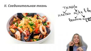 Эпителиальная и соединительная ткани | Анатомия человека