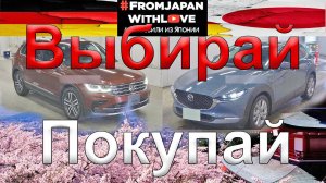 Заказ авто из Японии Южной Кореи Китая: инвойс, курс йены, пробивка по VIN VAG, аукцион через FJWL