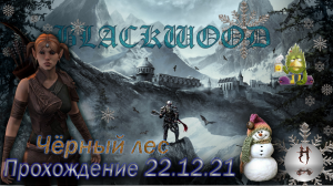 The Elder Scrolls Online (Сюжетные задания 22.12.21, Чёрный лес, Blackwood).mp4