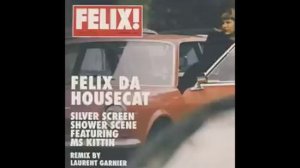 Silver Screen - Felix da Housecat (ORIGINAL)