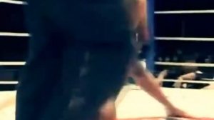 Серега

King Ring