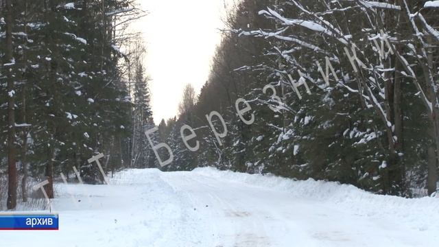 убили волка смотреть онлайн