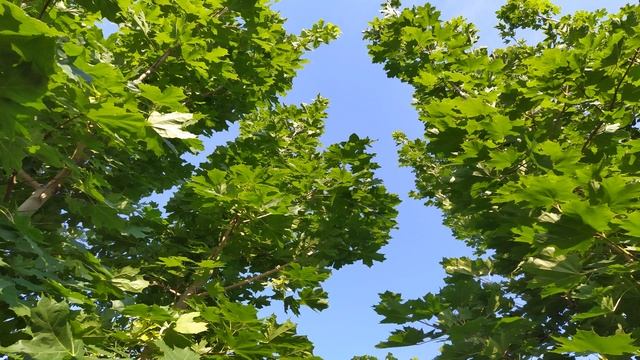 Куда девать старые вещи? Почему нельзя дарить или выбрасывать?