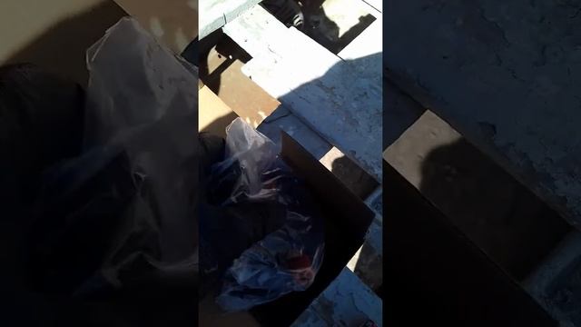 Вольво 940 замена  крышки трамблера бегунка проводов перестала заводиться часть1