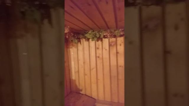 Пятница Дача Баня. смотреть онлайн