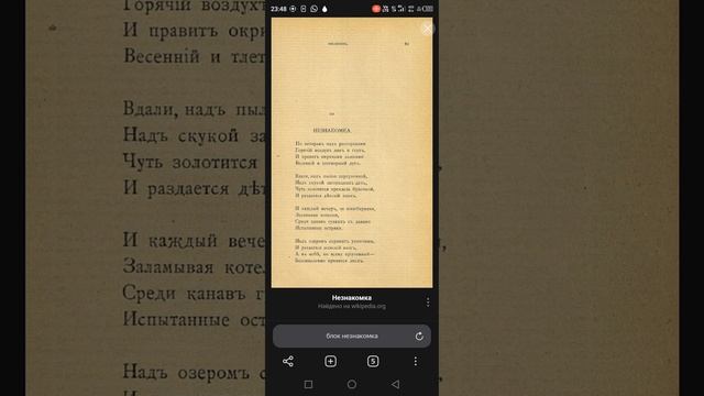 Незнакомка - Стихотворение Александра Блока