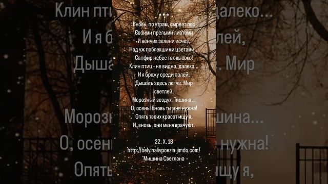 Вновь по утрам сыреет лес… Стихи. Светлана Мишина #поэзия #стихи #осень #природа #красота#лес#мир