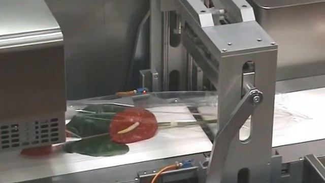 Record Gazzella Top Seal для цветов смотреть онлайн