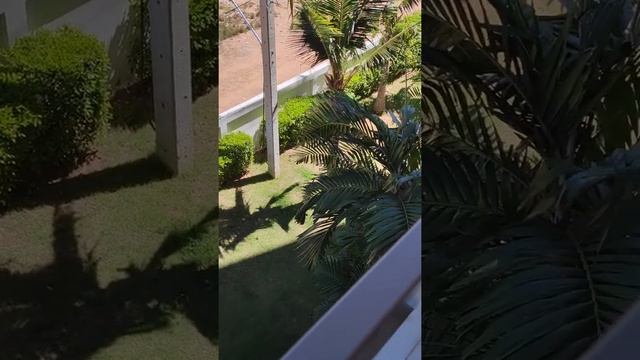 LBRJM-F312 смотреть онлайн