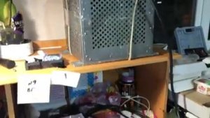 Home made power amplifier BLF188XR 1kW - long CW CQ