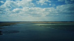 озеро Ракиты, Рубцовский район, природа и рыбалка 4К