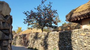 Седьмой дом в Козероге