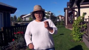 Луковичные растения.Когда высаживают луковичные? Как посадить? Нужно ли выкапывать?