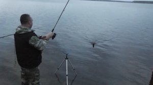 Рыбалка и отдых на Рефтинском водохранилище.