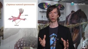 Как динозавр стал птицей? Рассказывает Ярослав Попов
