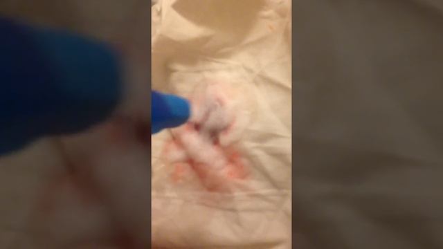 Жидкий ваниш смотреть онлайн