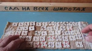 Колючки пришиты к ткани от Болей в спине .