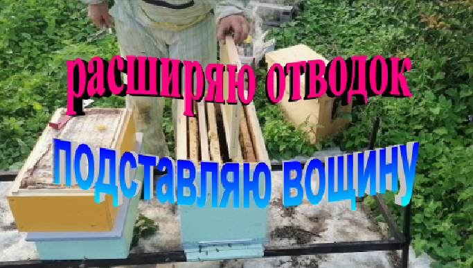 Расширяю отводок. Подставляю вощину.