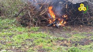 Пугаем щурок с пасеки